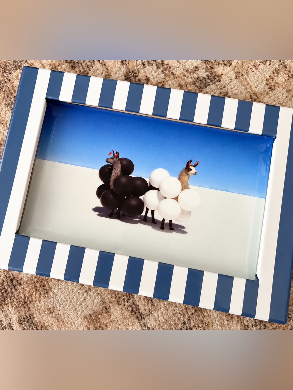 Gray Malin Llamas Porcelain Trinket Tray | NEW IN BOX